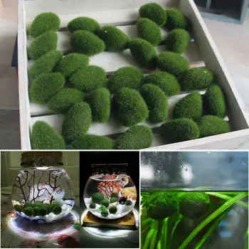 3-5cm Zaļa Zāle Ainavu Multi-formas Augu, Sūnu Bloks Akmens Imitācijas Flocking Rokdarbu Mikro Konteineru Apdare