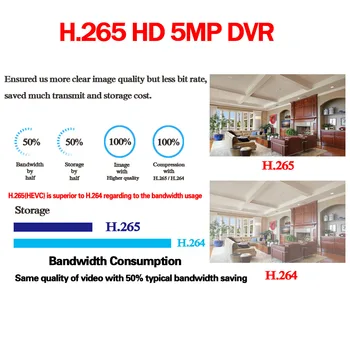 4CH BNC AHD Onvif P2P Pilna 5MP CCTV Uzraudzības DVR Audio Video Recorder Atbalsts, 4 Gab 5MP AHD 8 gab IP 5MP Kamera Hibrīda 6 In1