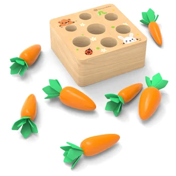 Bērnu Koka Montessori Rotaļlietas, Bloks Uzstādīts Ražas Burkānu Bērniem Lielums Izziņas Formu Saskaņošana Burkānu Spēles Sākumā Izglītības Rotaļlietas