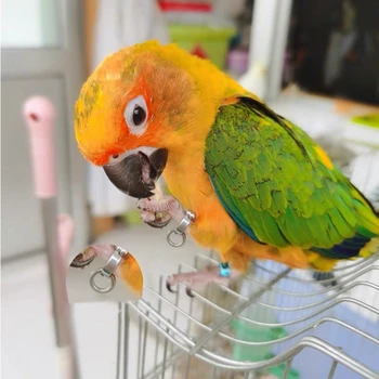 KUSO Pet Putnu Siksna Papagailis Kāju Ķēdes, Nerūsējošā Tērauda 304 Anklet Gredzenu Āra Mācību lidojumi Aktivitātes