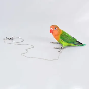 KUSO Pet Putnu Siksna Papagailis Kāju Ķēdes, Nerūsējošā Tērauda 304 Anklet Gredzenu Āra Mācību lidojumi Aktivitātes
