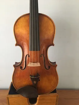 Master 4/4 izmēra vijole Stradi modelis egļu top liesmoja mample atpakaļ no2