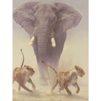 Pilna 5D Diy Daimond Krāsošana Elephant&Lauva 3D Dimanta Krāsošanas Kārtu Rhinestones Diamant Gleznu Izšūšana