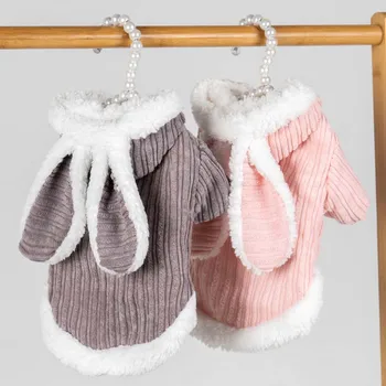 Rudens un ziemas gudrs trušu ausis ziemas biezs, silts džemperis Teddy Hiromi Bichon drēbes mazo suņu apģērbu