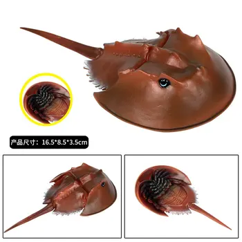 Rīcības attēls Jūras Lifes Dzīvnieku Modeļiem, figūriņas, Rotaļlietas Simulācijas Eremīts Krabji Skate Pakavs Astoņkāji, Jūras Bruņurupučus Dāvanu Bērniem