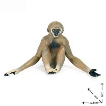 Simulācijas Savvaļas Dzīvnieku Modeļa Rotaļlietu Darbības Rādītāji Gibbon Orangutan Mērkaķis Izglītības Rotaļlieta Simulācijas Bērniem Skaitļi Ziemassvētkos