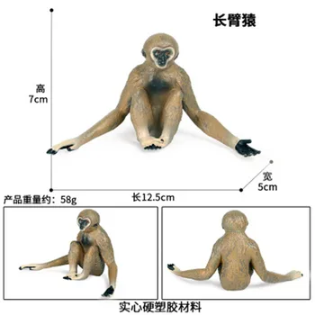 Simulācijas Savvaļas Dzīvnieku Modeļa Rotaļlietu Darbības Rādītāji Gibbon Orangutan Mērkaķis Izglītības Rotaļlieta Simulācijas Bērniem Skaitļi Ziemassvētkos